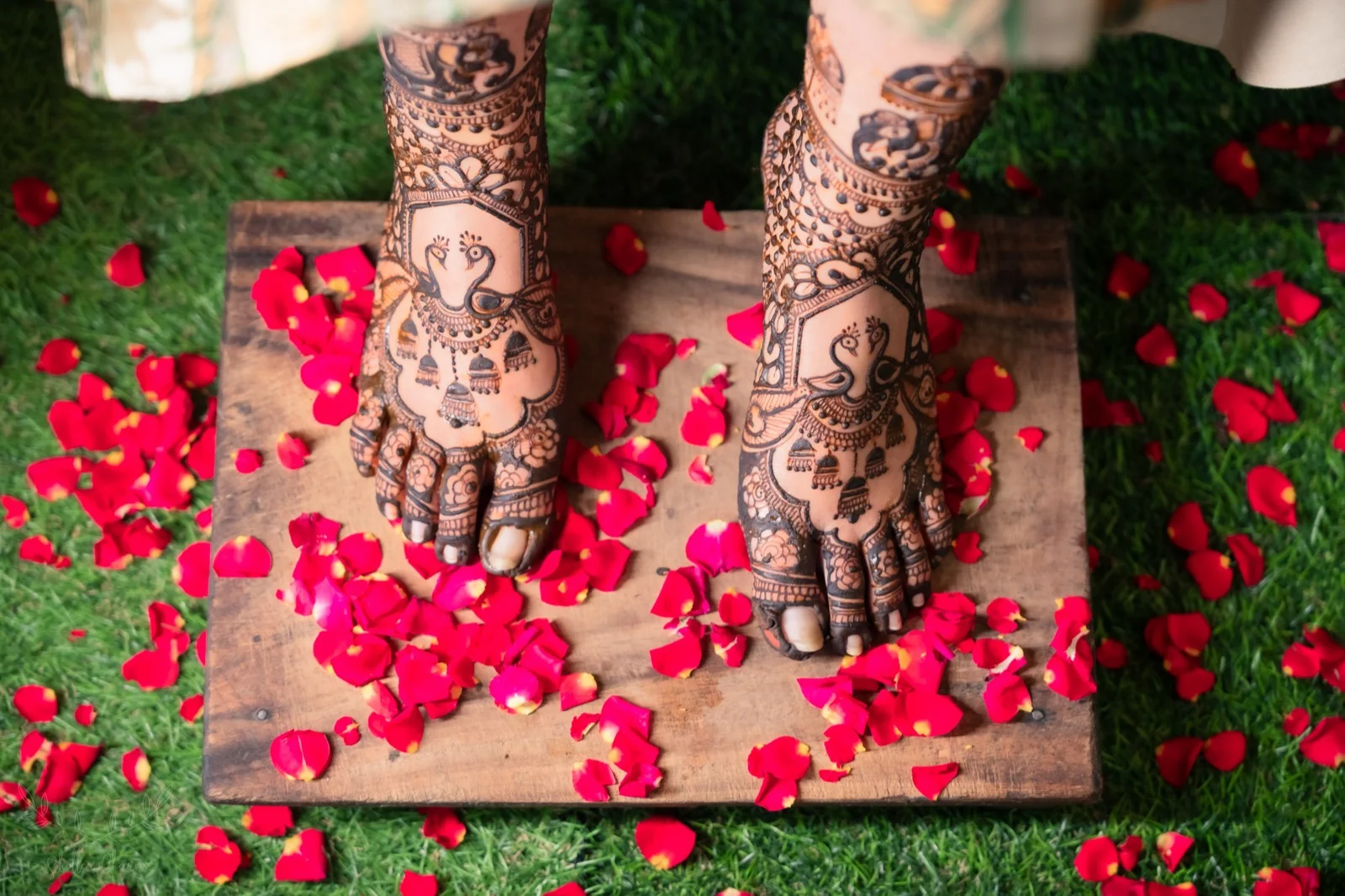 Bridal feet adorned with intricate peacock mehendi among rose petals