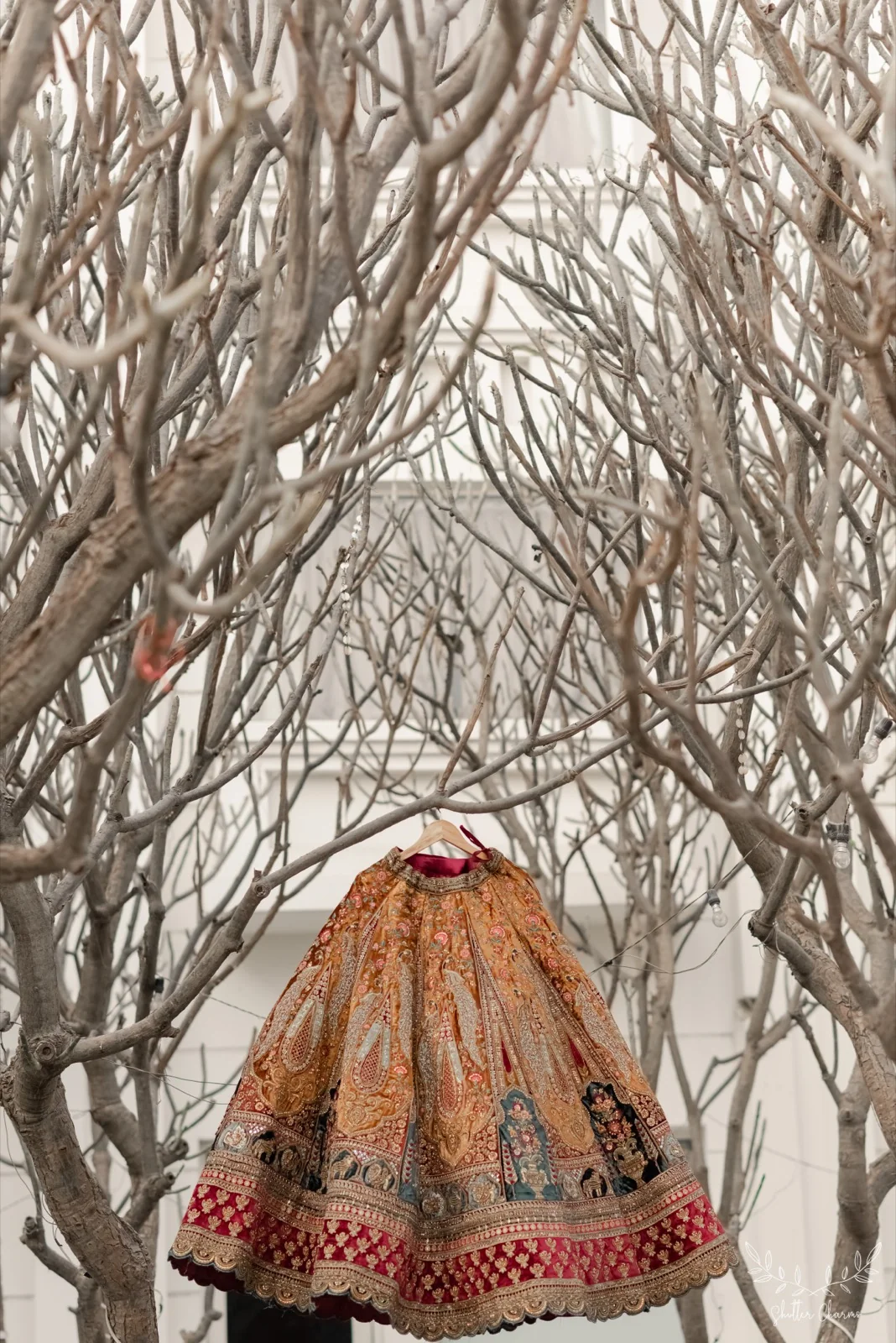 Embroidered bridal lehenga hanging amid bare tree branches