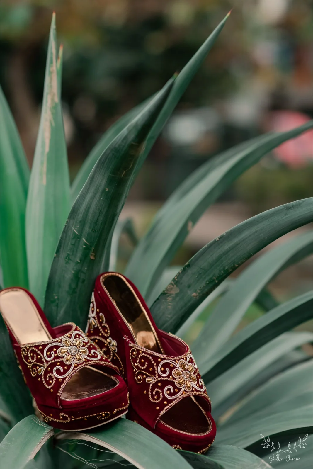 Maroon embellished bridal heels displayed on green agave leaves