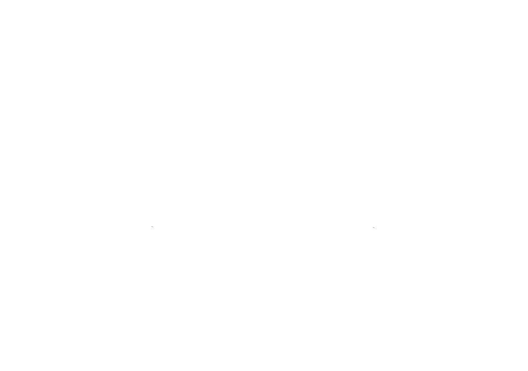 Shutter Charms